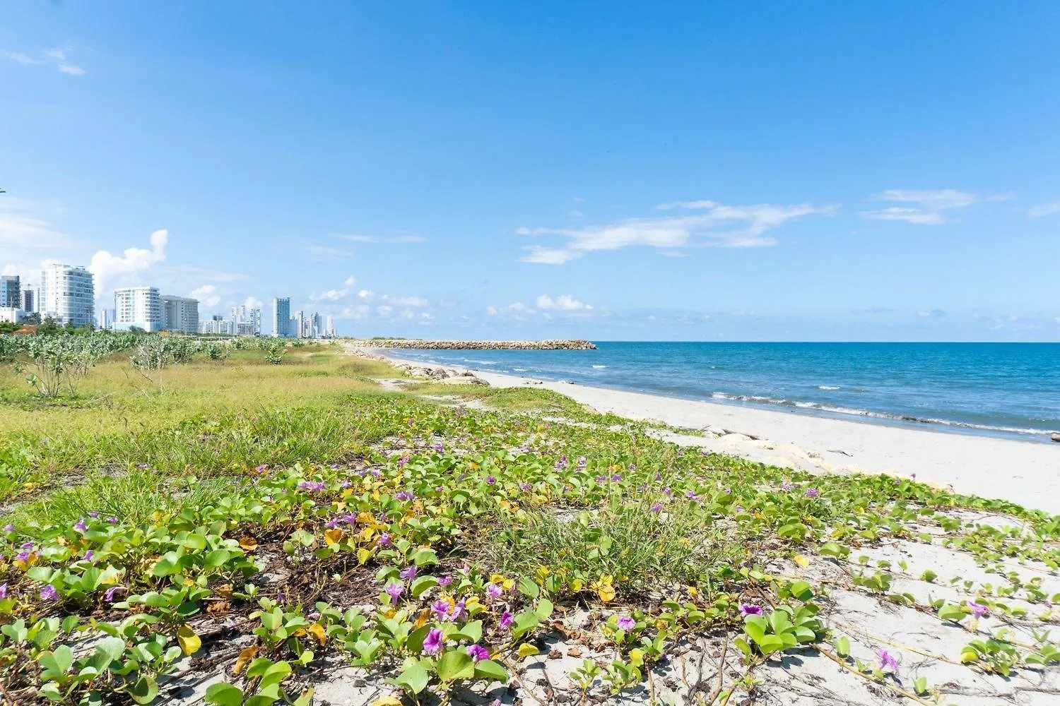 Apartment Cb1428 Hermosa Suite 2 Camas Frente Al Mar Crespo Cartagena